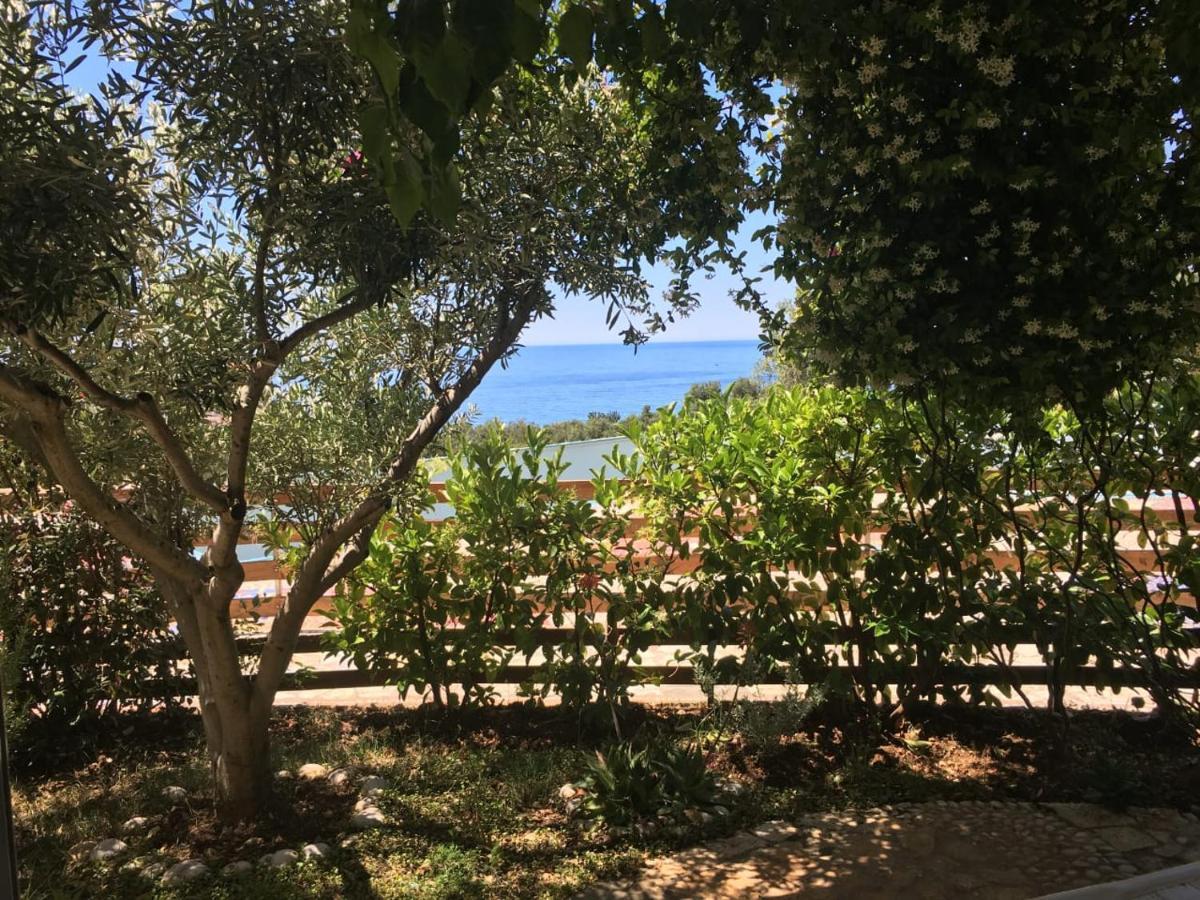 Olives Residence Dhërmi Eksteriør billede