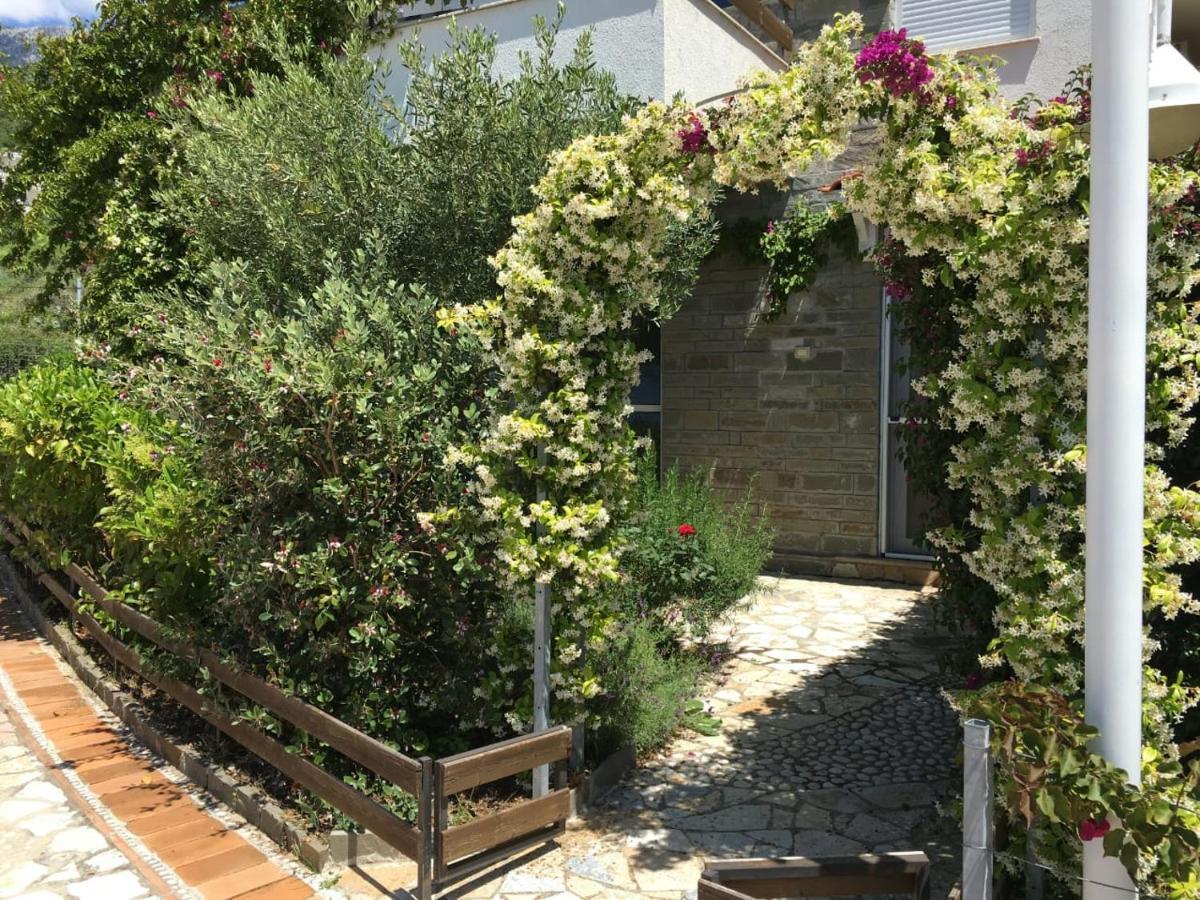 Olives Residence Dhërmi Eksteriør billede
